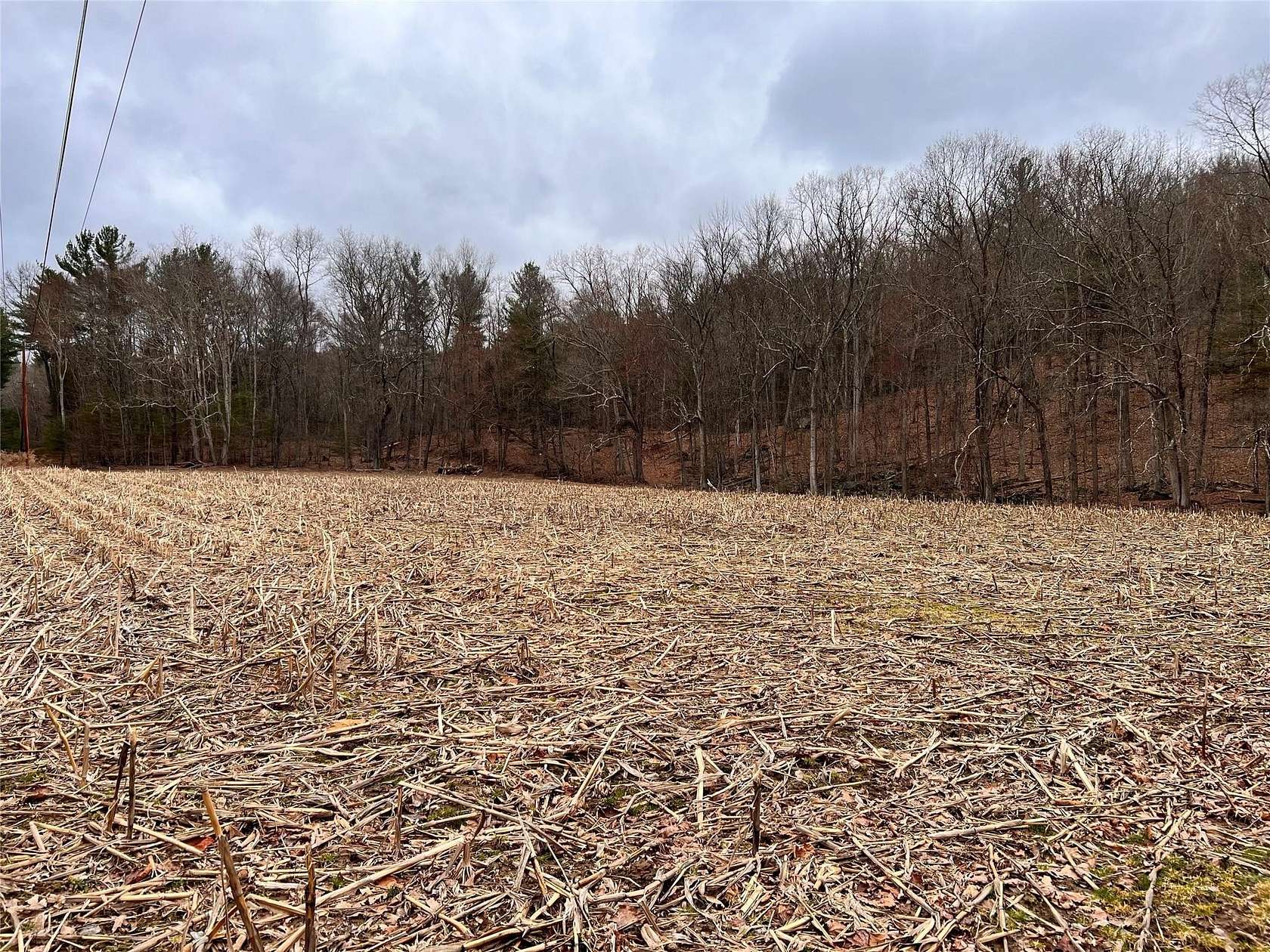 20 Acres of Land for Sale in Cochecton, New York