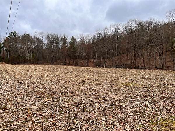 20 Acres of Land for Sale in Cochecton, New York