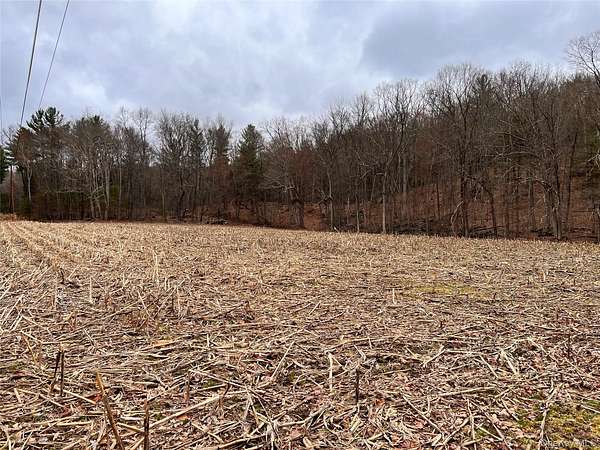 20 Acres of Land for Sale in Cochecton, New York