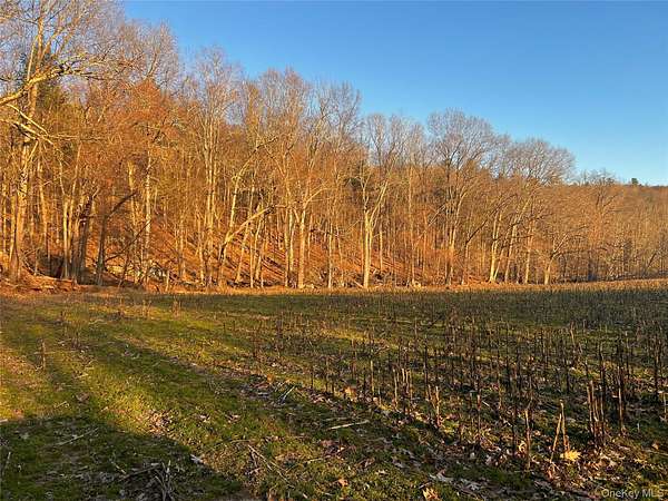 20 Acres of Land for Sale in Cochecton, New York