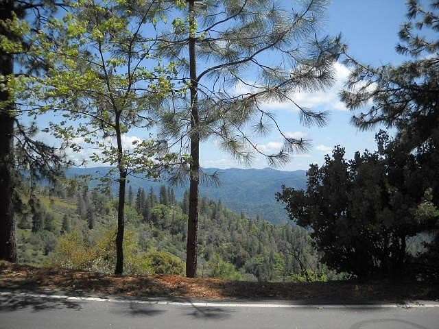 0.44 Acres of Residential Land for Sale in Murphys, California