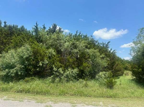 0.53 Acres of Land for Sale in Whitney, Texas