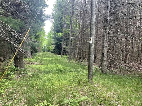 0.95 Acres of Land for Sale in Shelby, Michigan