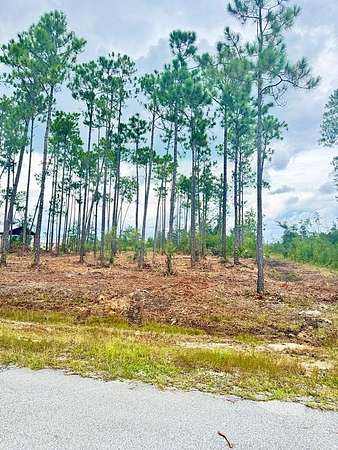 0.55 Acres of Residential Land for Sale in Wewahitchka, Florida