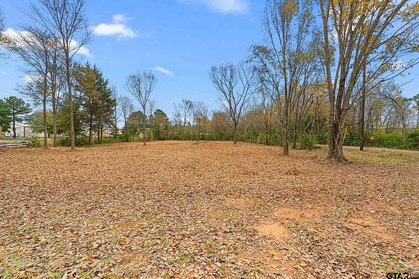 0.5 Acres of Residential Land for Sale in Frankston, Texas