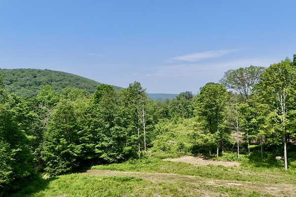 50.4 Acres of Land with Home for Sale in Kent, Connecticut