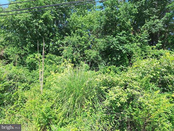 9.2 Acres of Land for Sale in Clinton, Maryland