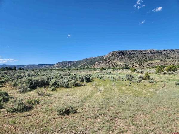 1 Acre of Residential Land for Sale in Antonito, Colorado