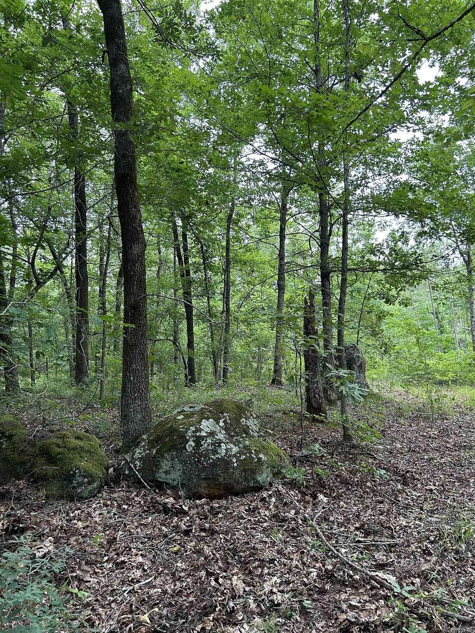 61.6 Acres of Recreational Land for Sale in Prescott, Arkansas