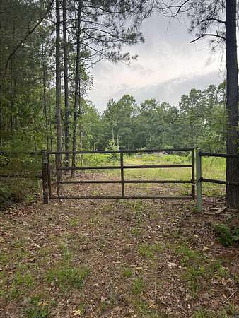 61.6 Acres of Land for Sale in Prescott, Arkansas