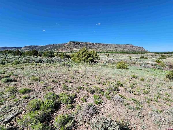 1 Acre of Residential Land for Sale in Antonito, Colorado