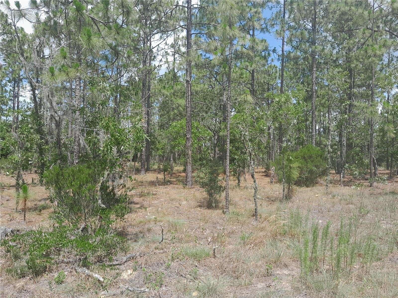 0.23 Acres of Residential Land for Sale in Williston, Florida