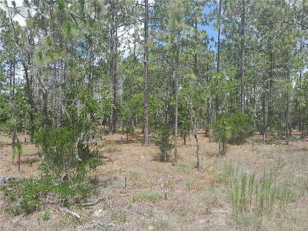0.23 Acres of Residential Land for Sale in Williston, Florida