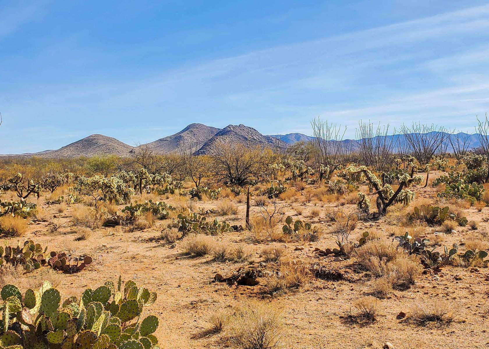 3.2 Acres of Residential Land for Sale in Diamond Bell Ranch, Arizona