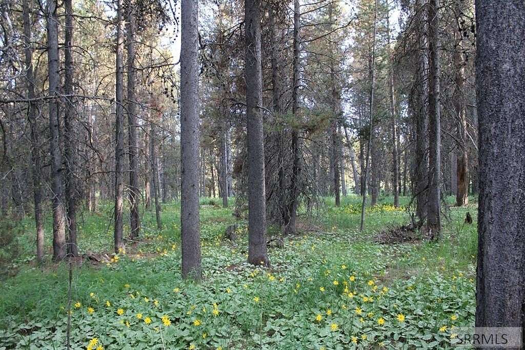 0.23 Acres of Land for Sale in Island Park, Idaho