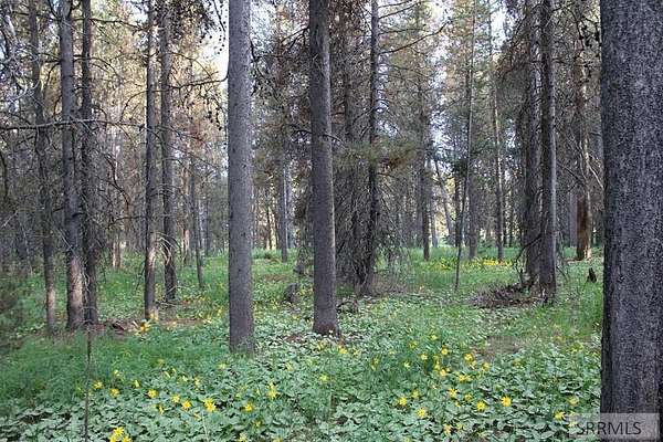 0.23 Acres of Land for Sale in Island Park, Idaho