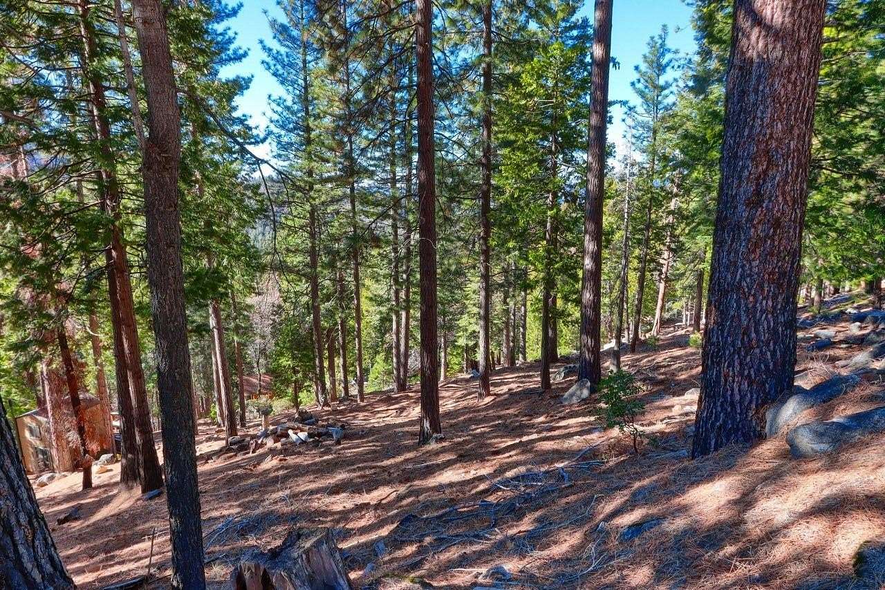 0.54 Acres of Residential Land for Sale in Yosemite West, California