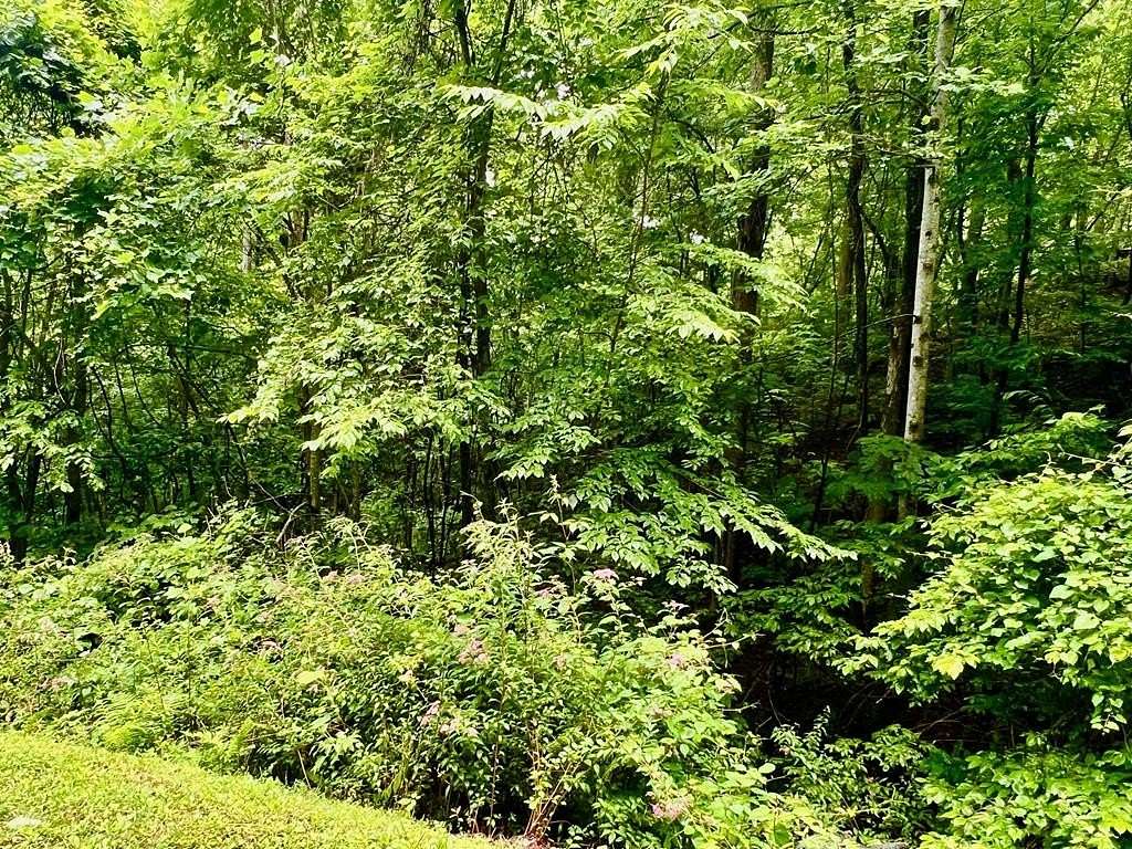 3 Acres of Residential Land for Sale in Hiawassee, Georgia