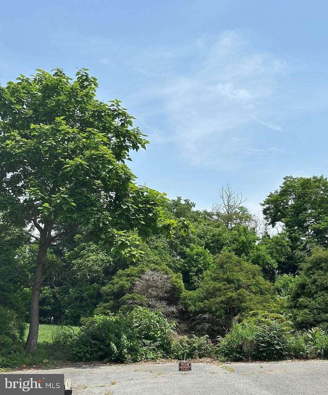 1.1 Acres of Mixed-Use Land for Sale in Edinburg, Virginia