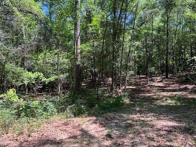 3.36 Acres of Residential Land for Sale in Waynesboro, Mississippi