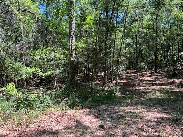 3.36 Acres of Residential Land for Sale in Waynesboro, Mississippi
