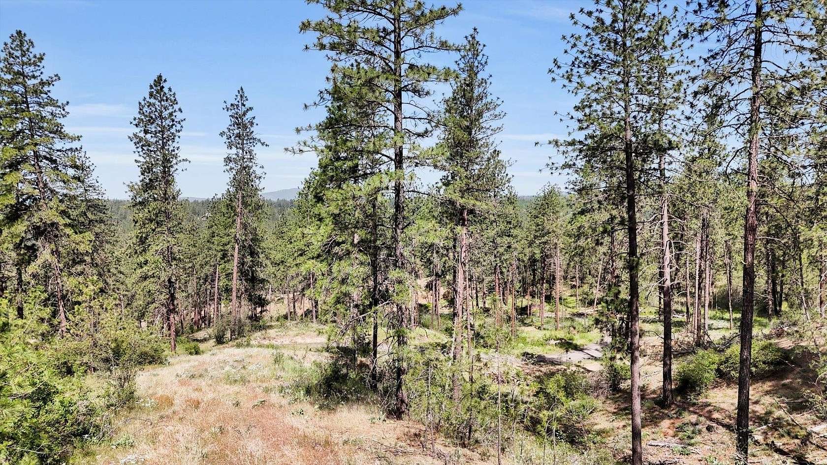 16.3 Acres of Recreational Land for Sale in Deer Park, Washington