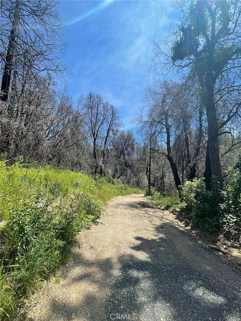 10 Acres of Land for Sale in Berry Creek, California