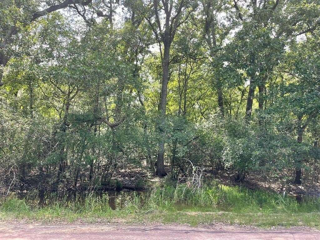 1.15 Acres of Land for Sale in Thornton, Texas