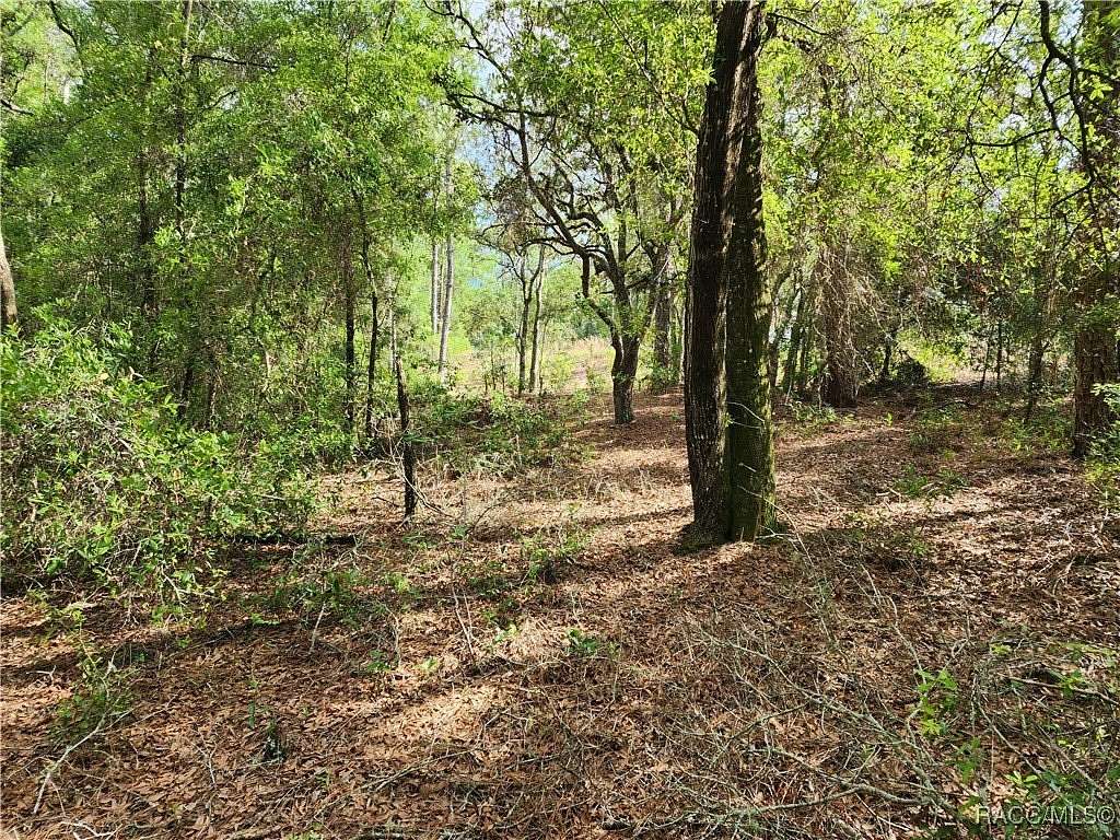 0.35 Acres of Residential Land for Sale in Citrus Springs, Florida