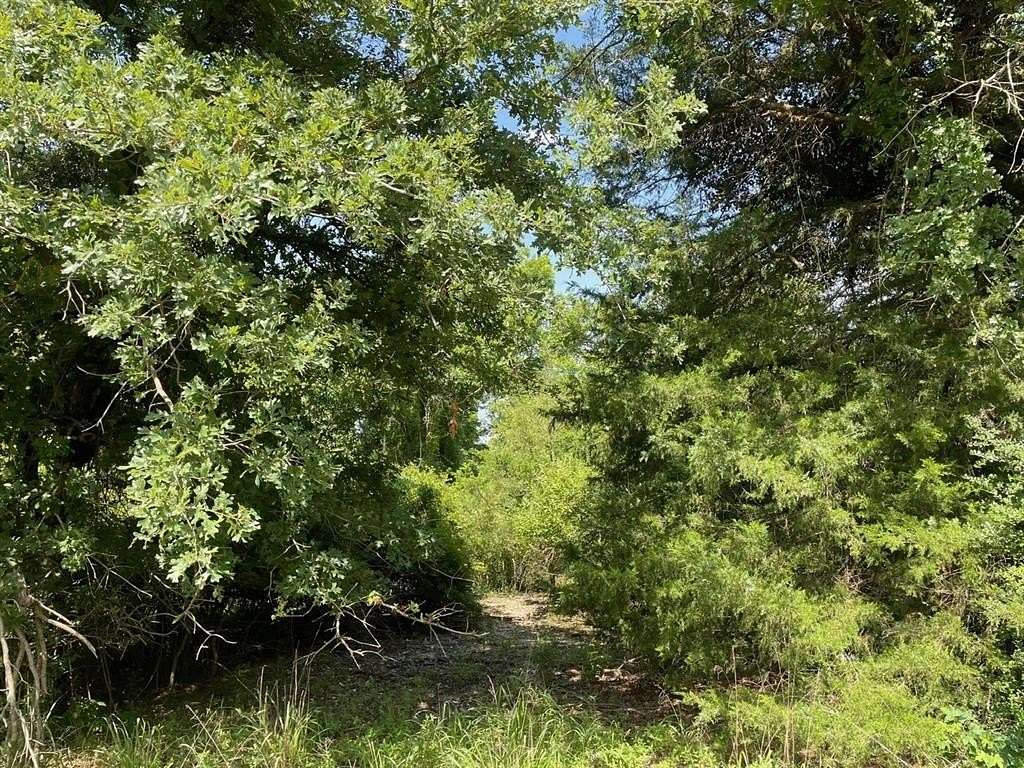 0.51 Acres of Land for Sale in Groesbeck, Texas