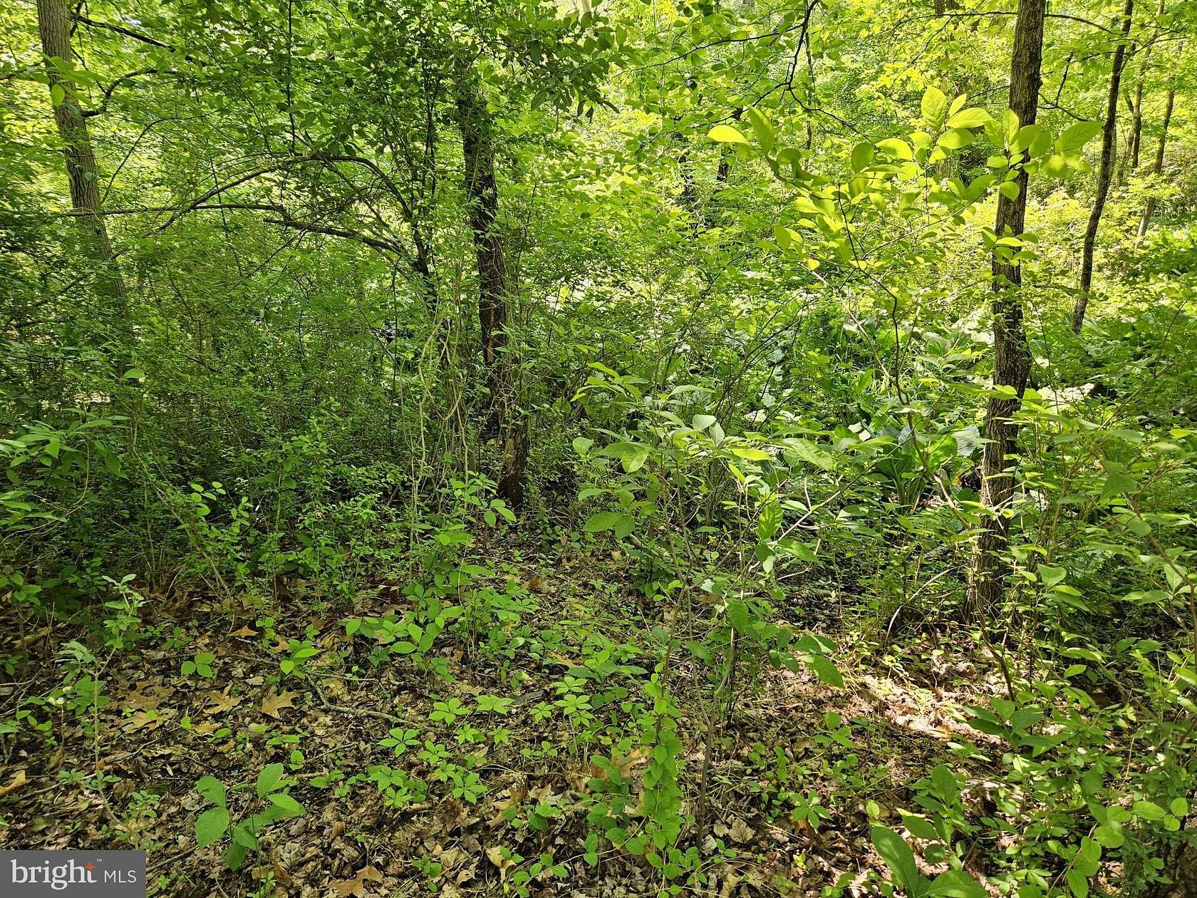 8.1 Acres of Residential Land for Sale in Yardley, Pennsylvania