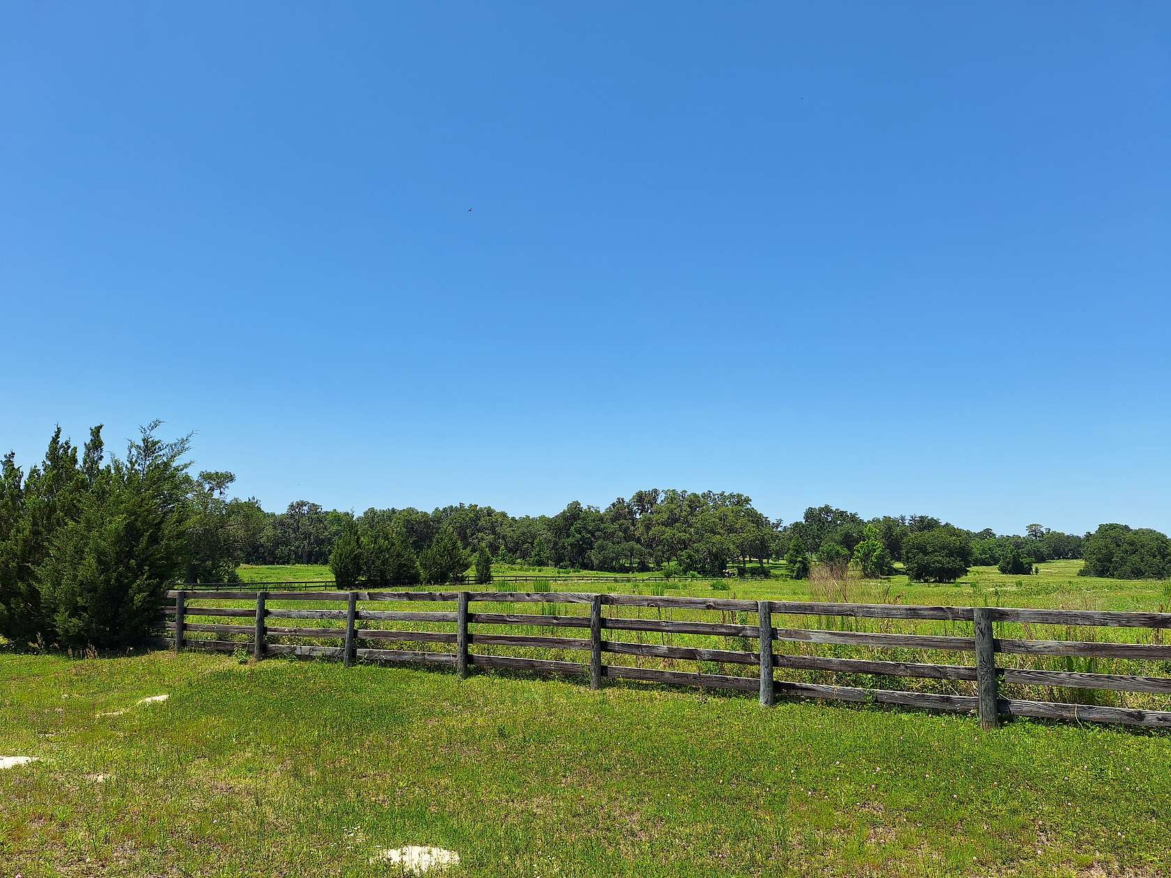 10.2 Acres of Land for Sale in Morriston, Florida