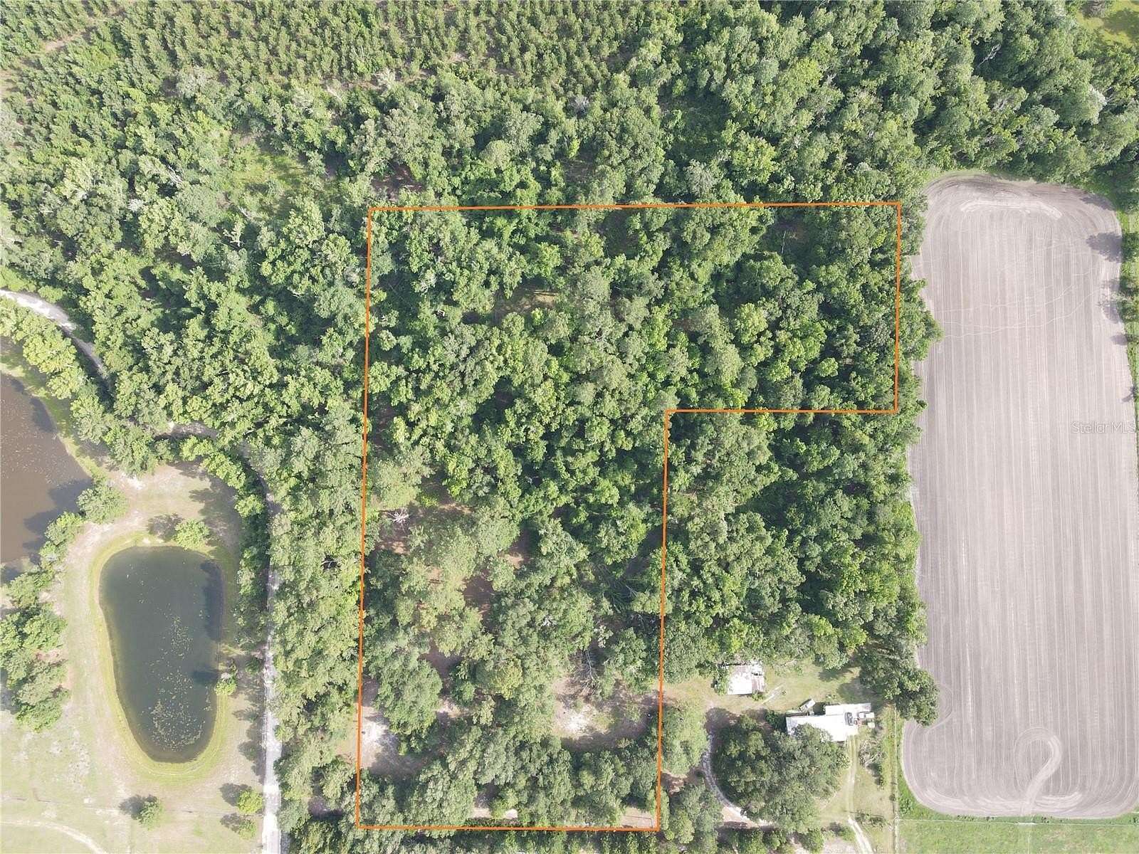 6.9 Acres of Agricultural Land for Sale in Alachua, Florida