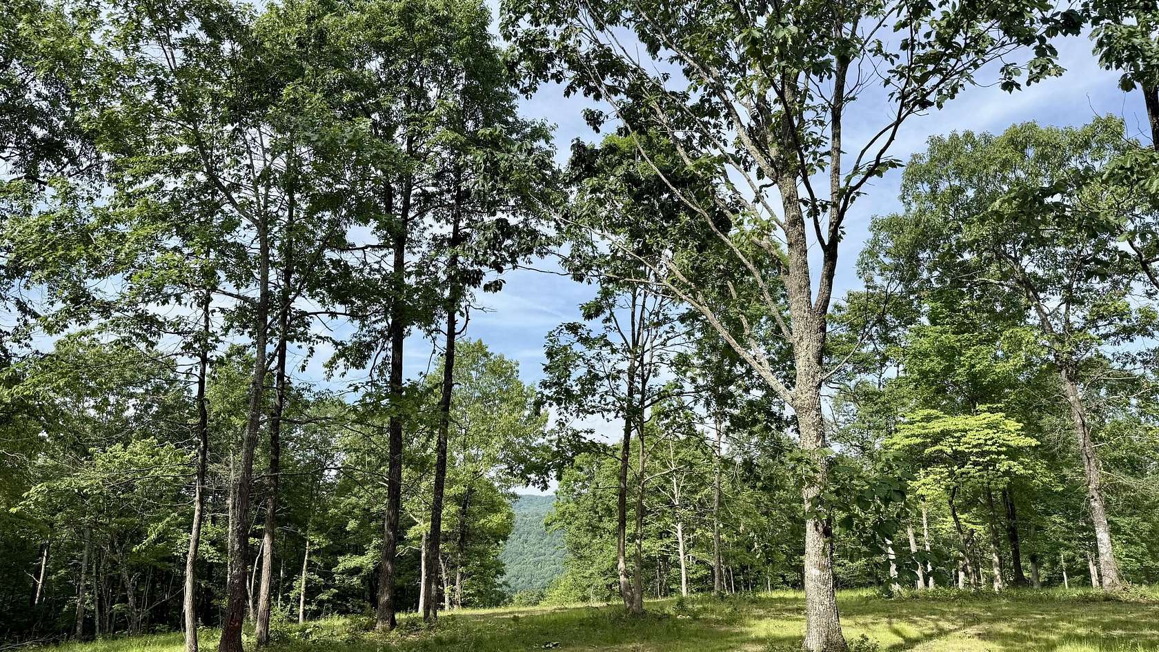 10 Acres of Residential Land for Sale in Dunlap, Tennessee