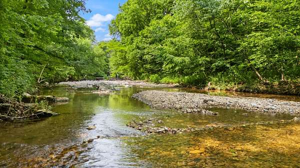 35 Acres of Land for Sale in Adolphus, Kentucky
