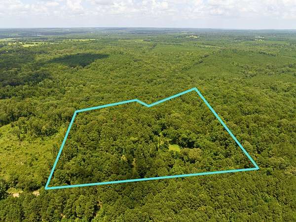 20 Acres of Recreational Land for Sale in Laneville, Texas