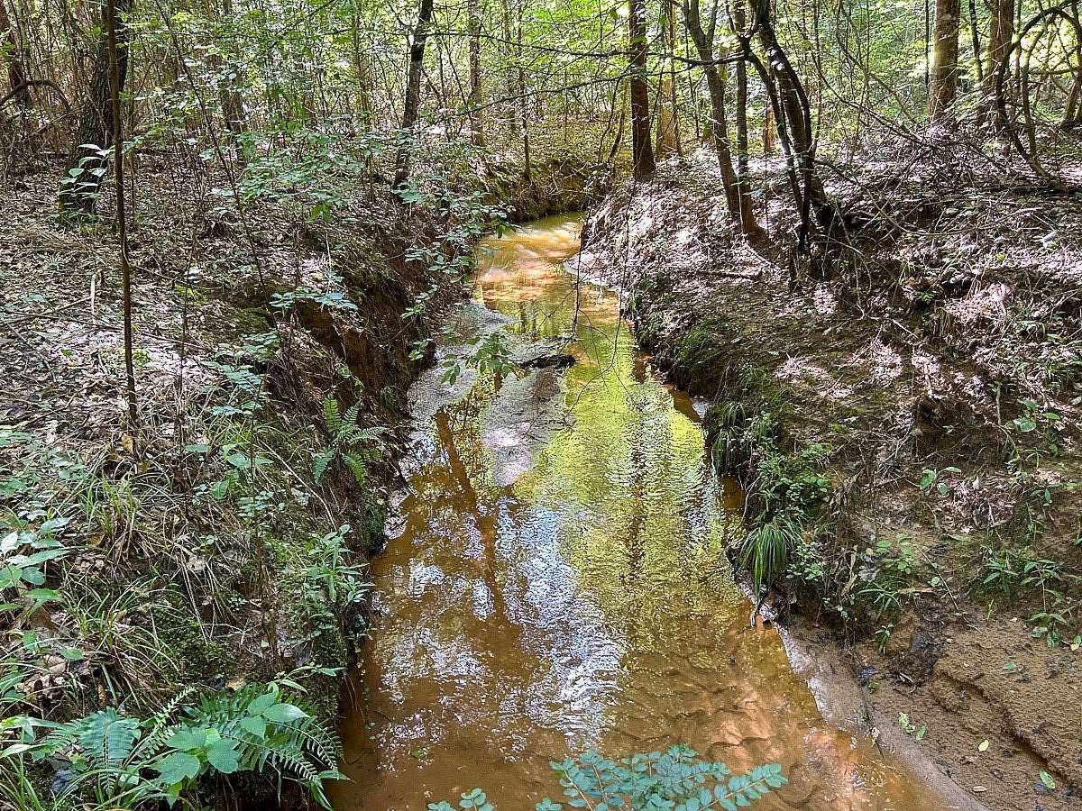 62 Acres of Recreational Land for Sale in San Augustine, Texas