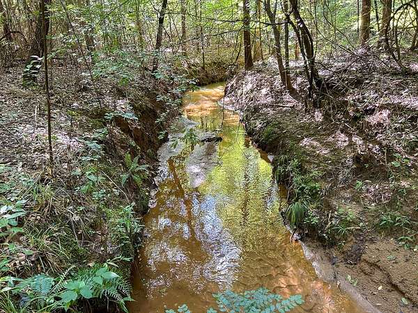 62 Acres of Recreational Land for Sale in San Augustine, Texas