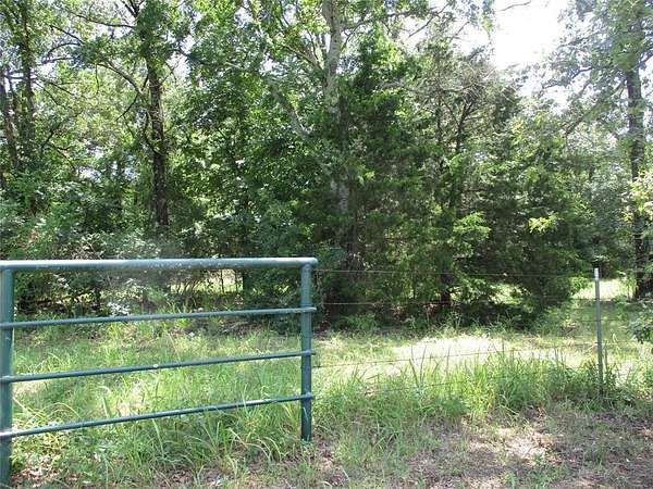 21.7 Acres of Recreational Land for Sale in Emory, Texas