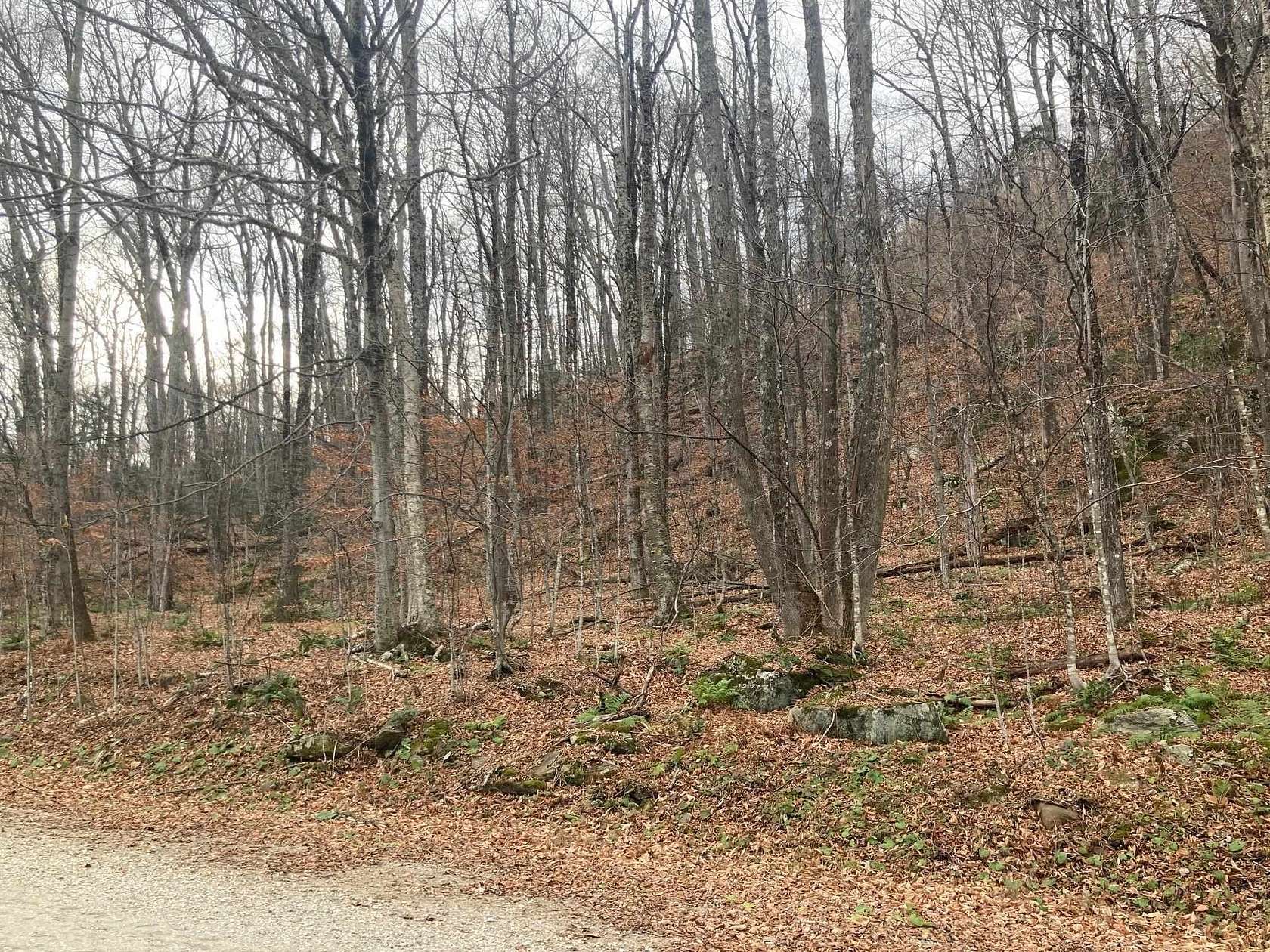 0.99 Acres of Residential Land for Sale in Killington, Vermont