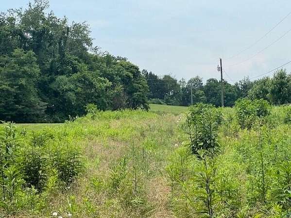 1.5 Acres of Land for Sale in New Market, Tennessee