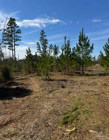 10 Acres of Land for Sale in Marianna, Florida