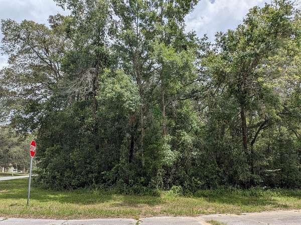 0.26 Acres of Residential Land for Sale in Dunnellon, Florida