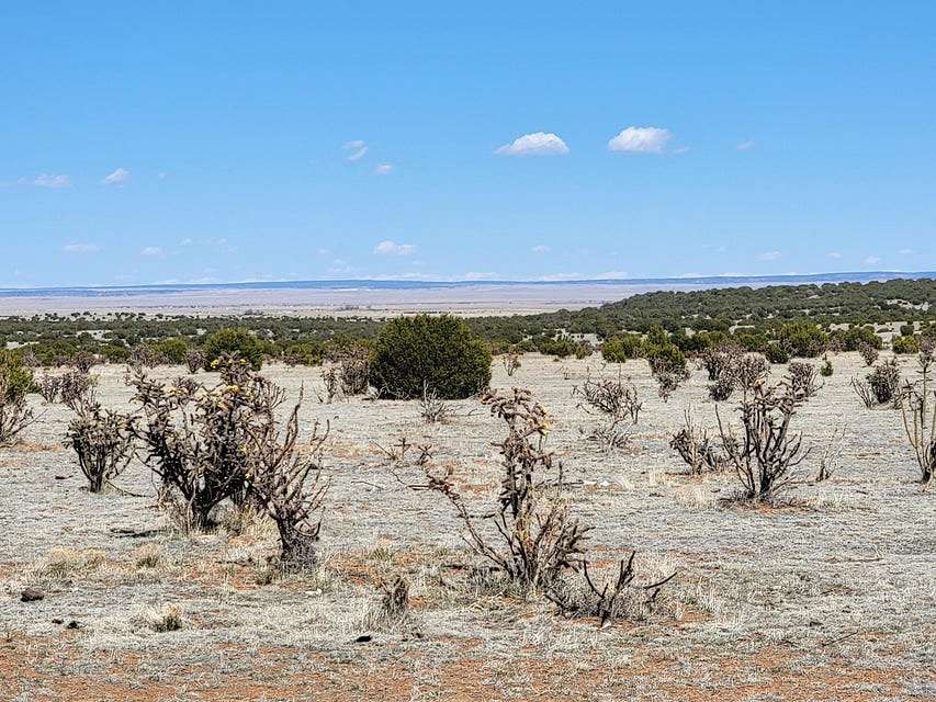 40 Acres of Land for Sale in Estancia, New Mexico