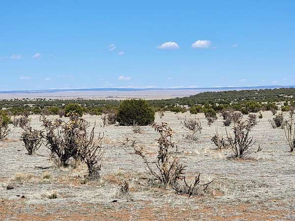 40 Acres of Land for Sale in Estancia, New Mexico