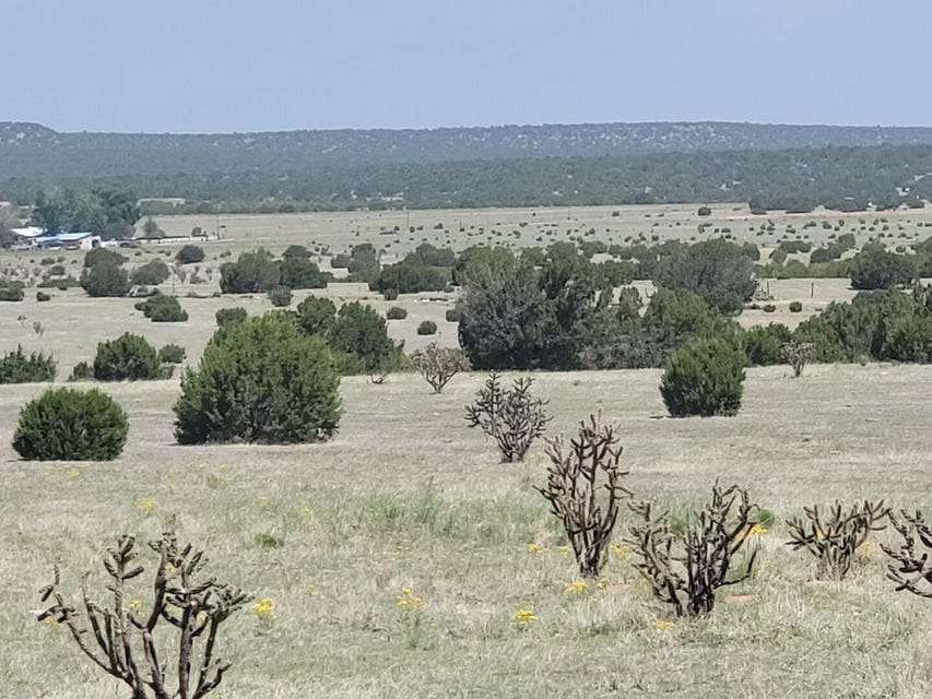 42 Acres of Recreational Land & Farm for Sale in Estancia, New Mexico