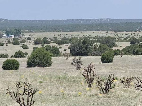 42 Acres of Recreational Land & Farm for Sale in Estancia, New Mexico