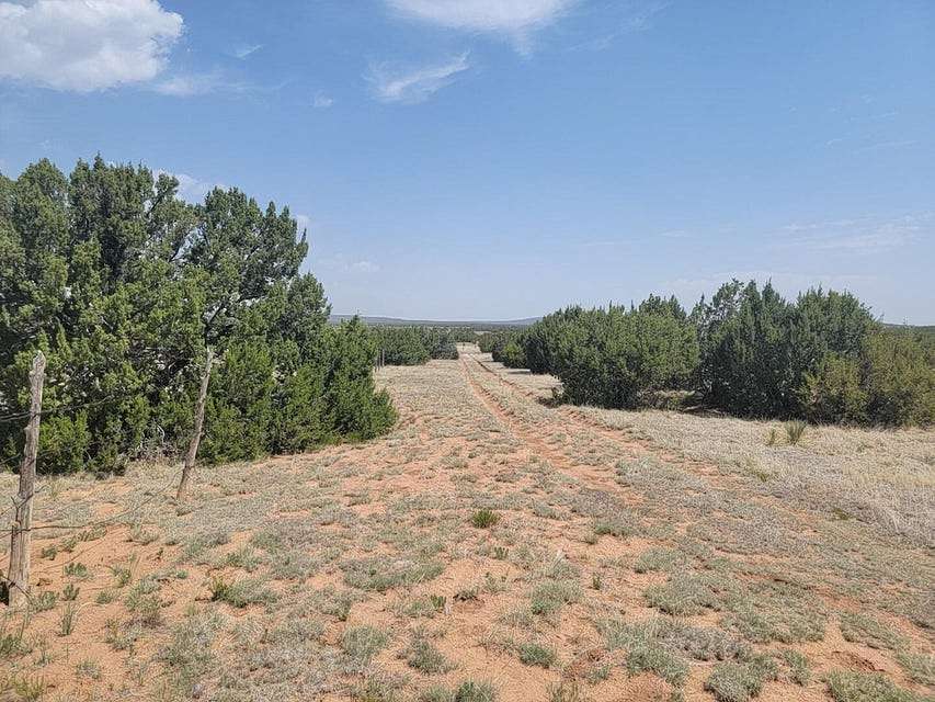 42 Acres of Land for Sale in Estancia, New Mexico