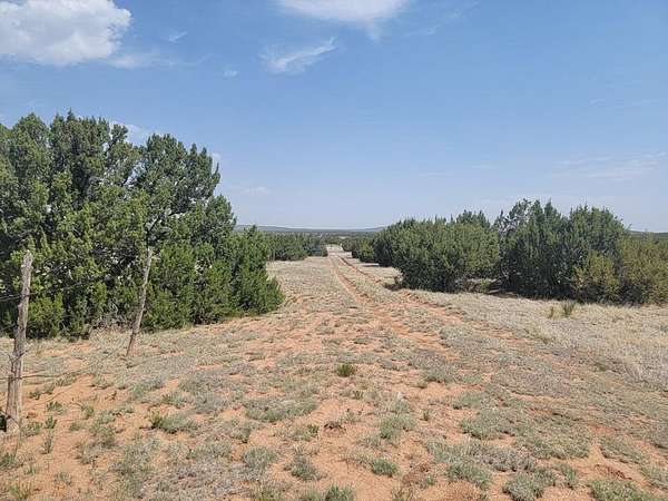 42 Acres of Land for Sale in Estancia, New Mexico