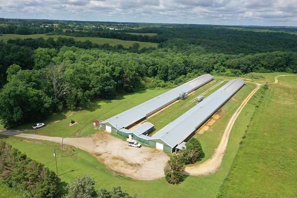7 Acres of Agricultural Land for Sale in Hackleburg, Alabama